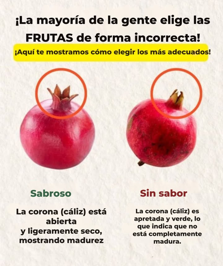 Cómo elegir una granada sabrosa La apariencia de la corona cáliz de la granada puede ayudarte a identificar si está madura y tiene buen sabor: Sabrosa La corona está abierta y ligeramente seca. Señal de que la fruta está madura y lista para comer. No sabrosa La corona está cerrada y verde, lo que indica que aún no ha madurado completamente. Aprender a observar estos detalles puede marcar la diferencia al elegir frutas de mejor calidad.