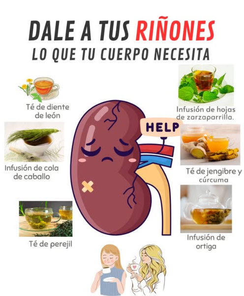 Agradece al menos para saber que estás recibiendo estas recetas! Dale a tus riñones el apoyo que merecen con estas deliciosas bebidas de plantas medicinales: Té de diente de león : Gracias a su efecto diurético natural, el diente de león ayuda a eliminar toxinas y disminuir la retención de líquidos, manteniendo tus riñones en óptimas condiciones. Disfruta de una taza al día para un apoyo continuo. Infusión de cola de caballo : Perfecta para combatir infecciones urinarias leves, la cola de caballo también reduce la inflamación y ofrece minerales que favorecen la función renal. Tómala dos veces por semana como un suave refuerzo. Té de perejil : Conocido por sus propiedades depurativas, este té promueve la eliminación de líquidos y el lavado natural de los riñones. Bebe una taza después de las comidas, dos veces por semana. Infusión de ortiga : Rica en antioxidantes, la ortiga es ideal para limpiar el sistema renal y combatir toxinas. Una taza diaria durante una semana puede ser un excelente detox para tus riñones. 李 Té de jengibre y cúrcuma : Esta combinación potencia la función renal al reducir la inflamación y mejorar la circulación. Disfrútalo como un té diario durante cinco días seguidos para obtener un poderoso efecto antiinflamatorio. Infusión de hojas de zarzaparrilla : Conocida por su capacidad purificadora, ayuda a eliminar toxinas y reducir posibles infecciones urinarias. Puedes tomarla dos o tres veces a la semana. Cuida tus riñones!