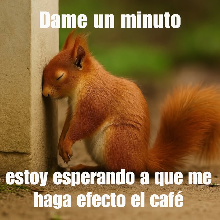 Actualmente funcionando con un 1% de batería... y el café es el cargador. #NeedCoffee #NecesitoCafé #MorningStruggles #LuchasMatutinas