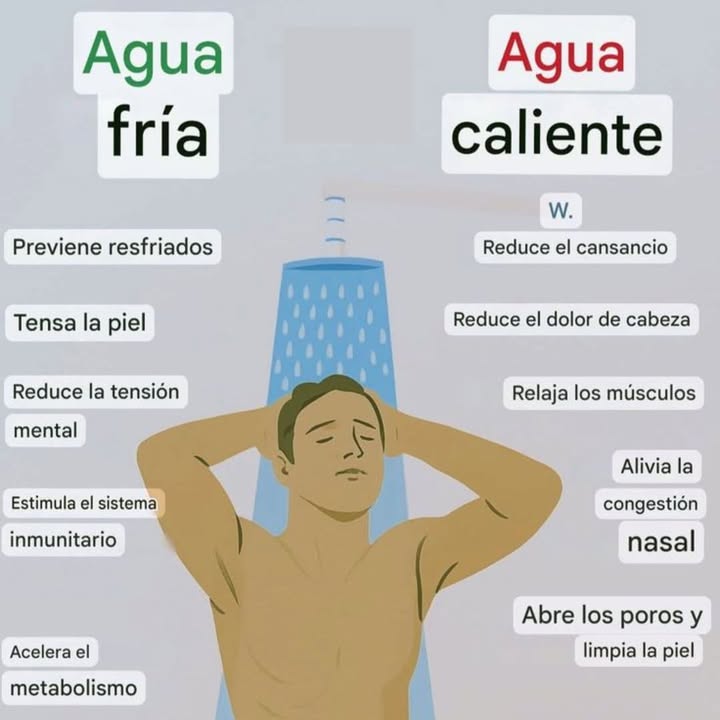 Agua fría vs. Agua caliente Agua fría Previene resfriados Tensa la piel Reduce la tensión mental Estimula el sistema inmunitario Acelera el metabolismo Agua caliente Reduce el cansancio Reduce el dolor de cabeza Relaja los músculos Alivia la congestión nasal Abre los poros y limpia la piel