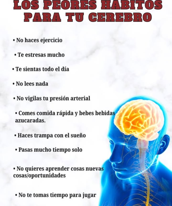 LOS PEORES HÁBITOS PARA TU CEREBRO