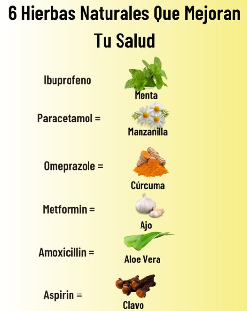 6 Hierbas Naturales Que Mejoran Tu Salud
