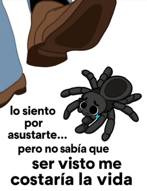 las arañas evitan a los humanos y no son peligrosas en la mayoría de los casos si ves una en interiores, relocalízala con calma en lugar de matarla no están aquí para hacerte daño solo están tratando de vivir. sé amable con todos 勺