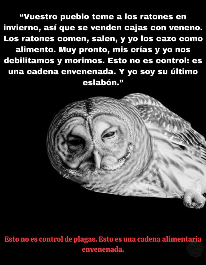 黎 El Costo Oculto del Veneno  
Dicen que solo mata ratones, pero aquí está la verdad: el ratón lo come, el búho come al ratón, y nuestros depredadores vitales sufren.  
Esto no es control de plagas; es una cadena alimentaria envenenada.  
 Elige alternativas más seguras  protege a los cazadores que nos protegen!