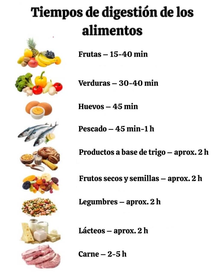 Temps de digestion des aliments