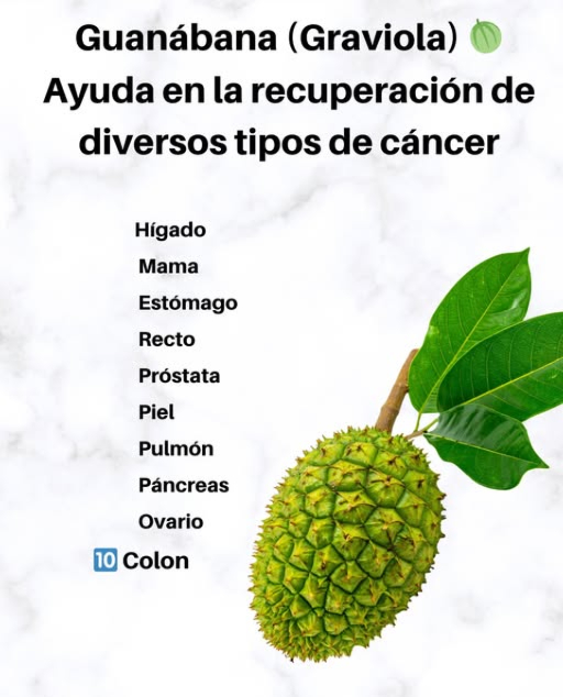 Guanábana Graviola Ayuda en la recuperación de diversos tipos de cáncer