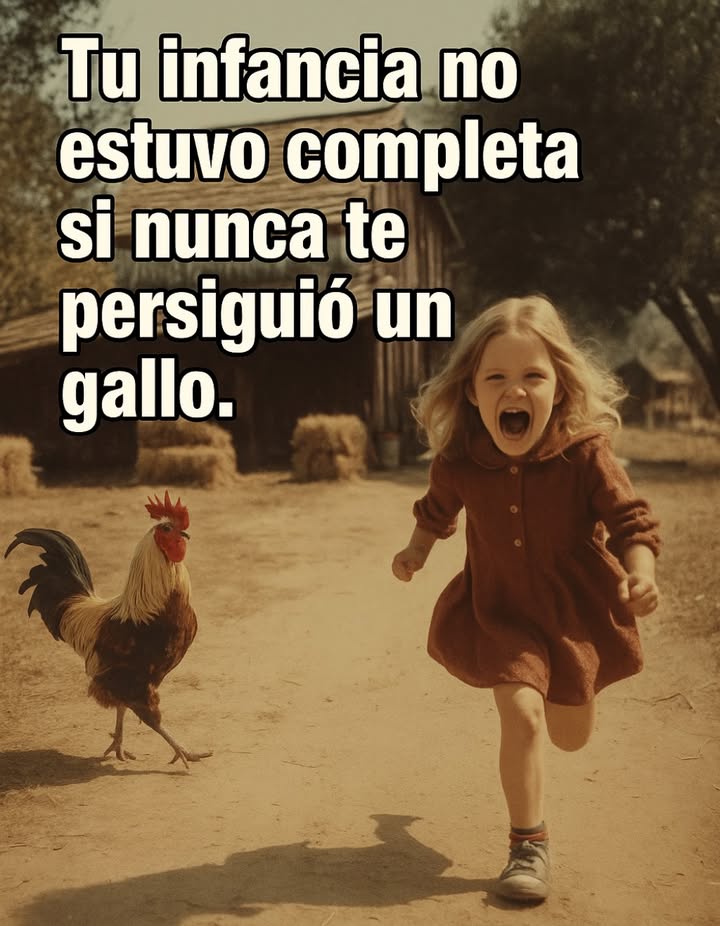 Esos gallos guardaban rencor, lo juro. Todas las reacciones :4 K4 K