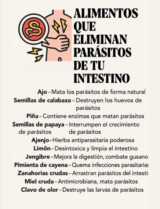 Alimentos que ayudan a eliminar parásitos del intestino 龍 Ajo Elimina parásitos de forma natural. Semillas de calabaza Destruyen los huevos de parásitos. Piña Contiene enzimas que combaten parásitos. Semillas de papaya Interfieren en el crecimiento de los parásitos. Ajenjo Hierba poderosa contra parásitos. Limón Desintoxica y limpia el intestino. Jengibre Mejora la digestión y combate gusanos. Pimienta de cayena Combate las infecciones parasitarias. 凌 Zanahorias crudas Arrastran parásitos desde los intestinos. Miel cruda Antimicrobiana, ayuda a eliminar parásitos. Clavos de olor Destruyen las larvas de parásitos. Incluye estos alimentos en tu alimentación diaria para ayudar a mantener tu sistema digestivo saludable y limpio.