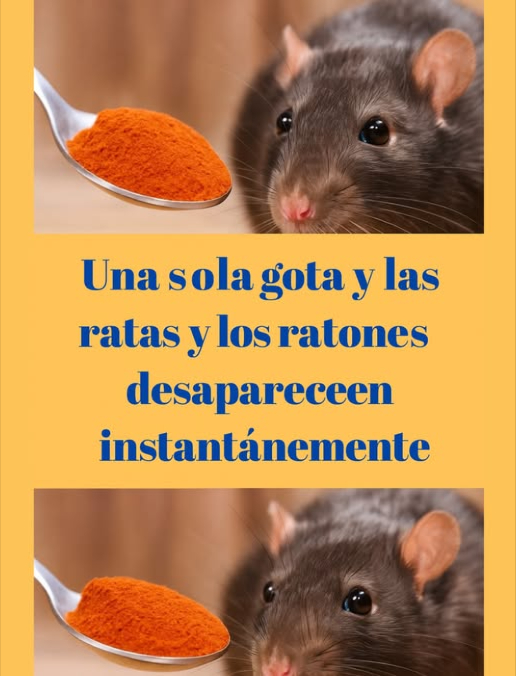 Cómo eliminar ratones con remedios naturales Tienes problemas con ratones en casa? Prueba estos remedios caseros y naturales para alejarlos sin usar químicos agresivos. 1. Aceite de menta Por qué funciona: El olor fuerte de la menta es desagradable para los ratones. Cómo usarlo: Empapa bolas de algodón en aceite de menta y colócalas en las zonas donde crees que hay ratones. También puedes poner gotas de aceite cerca de puertas, ventanas o grietas. 2. Vinagre de sidra de manzana Por qué funciona: El olor ácido del vinagre repele a los roedores. Cómo usarlo: Mezcla partes iguales de vinagre y agua. Rocía la solución en las áreas donde notes actividad de ratones. 3. Clavos de olor Por qué funciona: Los ratones odian su fuerte aroma. Cómo usarlo: Coloca clavos enteros en las zonas de posible entrada o escondites. 4. Mezcla letal: bicarbonato azúcar Por qué funciona: El azúcar atrae al ratón, y el bicarbonato genera gases en su estómago. Cómo usarlo: Mezcla partes iguales de ambos ingredientes. Coloca pequeñas cantidades en lugares donde hayas visto ratones. 隣 5. Lana de acero para sellar entradas Por qué funciona: Los ratones no pueden roer la lana de acero. Cómo usarlo: Tapa con lana de acero las grietas, agujeros o entradas pequeñas por donde puedan entrar. Nota importante Estos métodos son naturales y pueden no ser tan eficaces como los productos comerciales. Si tienes una infestación grave, es mejor llamar a profesionales en control de plagas.