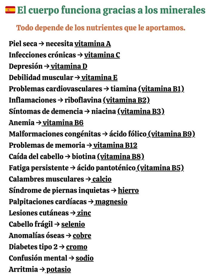 El cuerpo funciona gracias a los minerales
