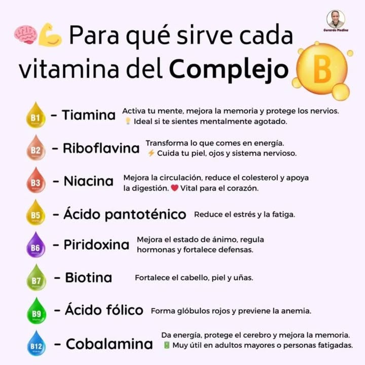 易 Para qué sirve cada vitamina del Complejo B? B1 Tiamina Activa la mente, mejora la memoria y protege los nervios. Ideal cuando te sientes mentalmente cansado. B2 Riboflavina Transforma los alimentos en energía. Protege la piel, los ojos y el sistema nervioso. B3 Niacina Mejora la circulación, reduce el colesterol y favorece la digestión. Esencial para la salud del corazón. B5 Ácido pantoténico Ayuda a reducir el estrés y la fatiga. B6 Piridoxina Mejora el estado de ánimo, regula las hormonas y fortalece el sistema inmune. B7 Biotina Fortalece el cabello, la piel y las uñas. B9 Ácido fólico Forma glóbulos rojos y previene la anemia. B12 Cobalamina Aporta energía, protege el cerebro y mejora la memoria. Muy útil en adultos y personas con cansancio frecuente.
