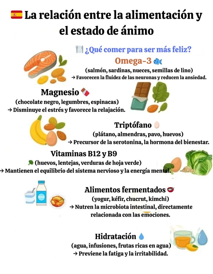 綾 La relación entre alimentación y estado de ánimo Omega-3 Salmón, sardinas, nueces, semillas de lino Favorece la fluidez neuronal y reduce la ansiedad. Magnesio Chocolate negro, legumbres, espinacas Disminuye el estrés y favorece la relajación. Triptófano Plátano, almendras, pavo, huevos Precursor de la serotonina, la hormona del bienestar. 讀 Vitamina B12 y B9 Huevos, lentejas, verduras de hoja verde Mantiene el equilibrio nervioso y la energía mental. 拏 Alimentos fermentados Yogur, kéfir, chucrut, kimchi Nutren la microbiota intestinal, directamente relacionada con las emociones. Hidratación Agua, infusiones, frutas con alto contenido de agua Evita la fatiga y la irritabilidad. Una mente feliz comienza en el plato.