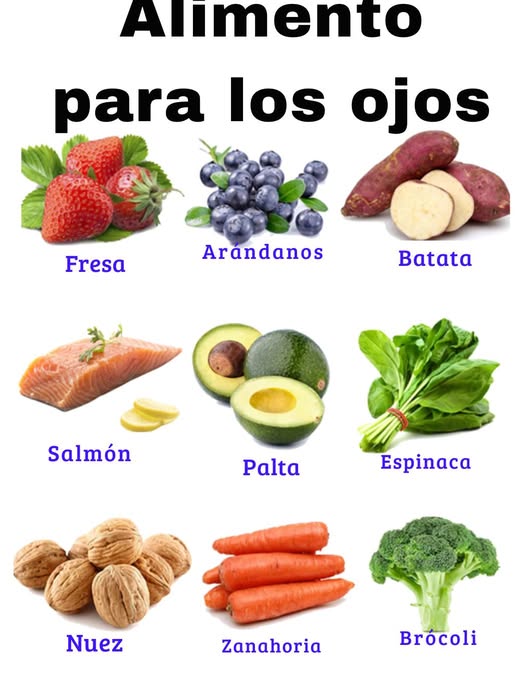 Conocimiento Básico