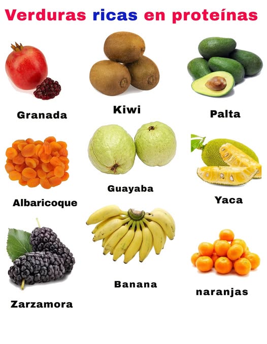 1. Granada: Contiene unos 1.7 g de proteínas por cada 100 g. Rica en antioxidantes, favorece la salud cardiovascular. 2. Kiwi: Aporta 1.1 g de proteínas y es muy rico en vitamina C y fibra, ideal para la inmunidad y el sistema digestivo. 3. Aguacate: Con 2 g de proteínas, también destaca por sus grasas saludables y alto contenido de potasio y fibra. 4. Albaricoque orejones: Los secos tienen unos 3.4 g de proteínas. Aportan hierro y betacarotenos beneficiosos para la piel y la vista. 5. Guayaba: Contiene 2.6 g de proteínas y más vitamina C que las naranjas. Favorece la digestión. 6. Yaca jackfruit: Aporta 1.7 g de proteínas, además de vitaminas A, C y minerales. Es popular como sustituto vegetal de la carne. 7. Mora: Con 2 g de proteínas, también ofrece antioxidantes y vitamina K. 8. Plátano: Aporta 1.1 g de proteínas, es fuente de potasio y energía natural. 9. Naranja: Contiene 0.9 g de proteínas y es excelente para fortalecer el sistema inmunológico gracias a su vitamina C. Conclusión: Estas frutas, además de ser sabrosas, ofrecen un aporte proteico que puede complementar una dieta saludable, especialmente en planes basados en plantas.