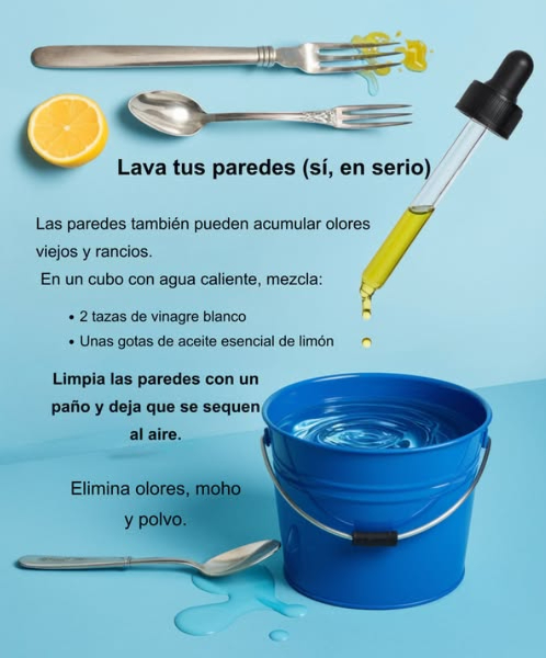 Lava tus paredes para un hogar más fresco Las paredes también retienen olores viejos y humedad. Devuélveles frescura con una mezcla sencilla y natural: 画 En un cubo con agua caliente agrega: 2 tazas de vinagre blanco Unas gotas de aceite esencial de limón Pasa un paño húmedo por las paredes y deja secar al aire. Elimina olores, moho y polvo en minutos. Un truco fácil que transforma el ambiente.