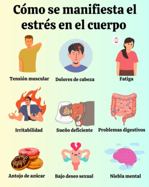Cómo se manifiesta el estrés en el cuerpo