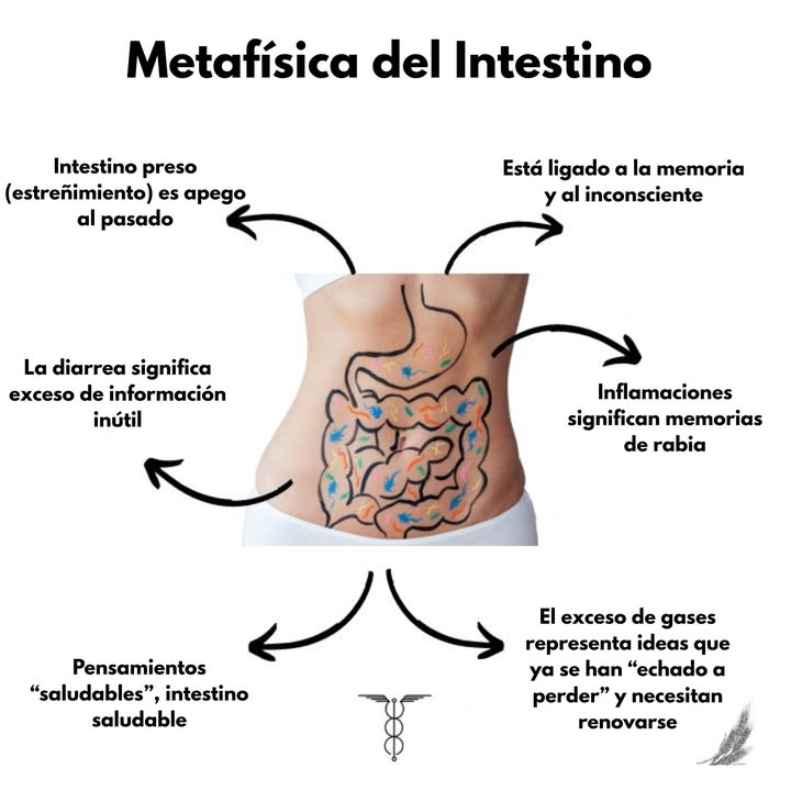 Metafísica del Intestino