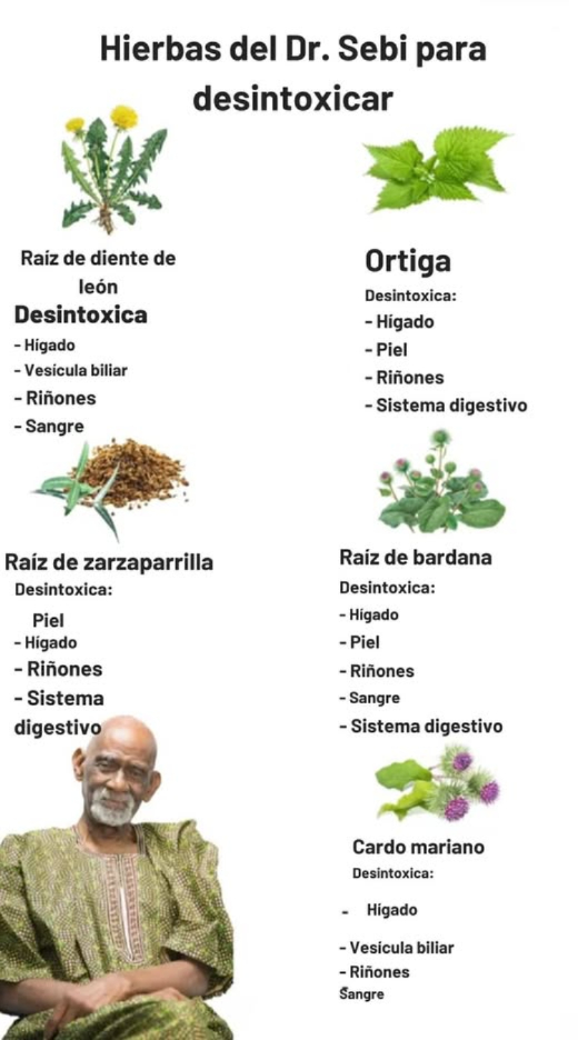 Herbs for Detoxing