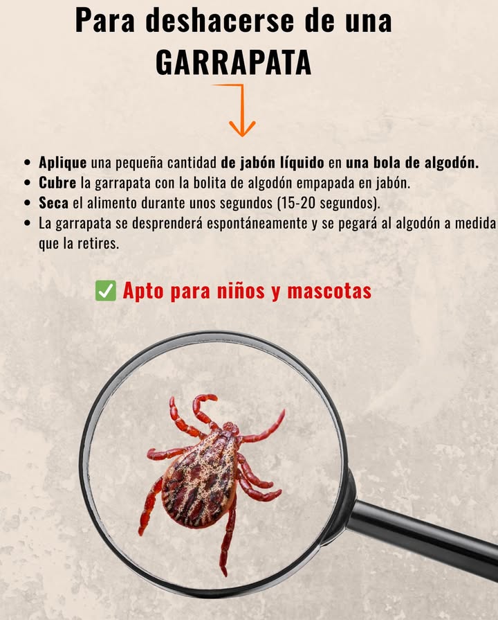 Spray Repelente de Garrapatas DIY Mantén las garrapatas alejadas de forma naturalseguro para la piel y las mascotas! Receta: 1 parte de agua 2 partes de vinagre 20 gotas de aceite esencial de lavanda 20 gotas de aceite esencial de eucalipto 15 gotas de aceite esencial de menta Cómo Usar: Agitar bien antes de cada uso Rociar sobre la ropa, zapatos y piel expuesta Consejo: Reaplicar cada 23 horas para una mejor protección