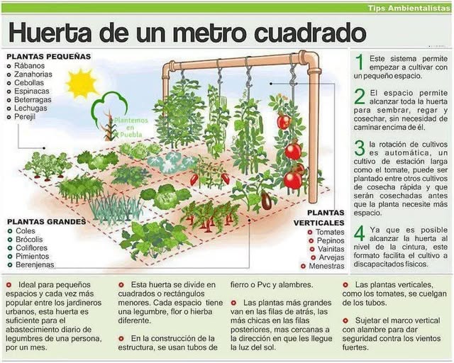Huerto en un metro cuadrado: un método de cultivo de hortalizas en espacios pequeños. Pero tener un huerto ordenado es una cuestión de estética o es un método de cultivo efectivo? Hoy vamos a profundizar en esta técnica hortícola, conocida como huerto en 1 metro cuadrado, para conocer a fondo todas sus ventajas. Qué es el huerto en un metro cuadrado? El huerto en 1m2 es un método sencillo para crear huertas pequeñas, ordenadas y altamente productivas. Fue inventado por el ingeniero y horticultor estadounidense Mel Bartholomew con intención de optimizar el rendimiento de su propio espacio. Cuando vio que su idea daba buenos resultados, la expuso al público en su libro Huerto en 1 metro cuadrado. El método tuvo gran aceptación y pronto se convirtió en un éxito. El concepto básico es crear camas de cultivos en camas de madera de un metro cuadrado aproximadamente, y dividirlo en forma de cuadrícula para gestionar cada zona de manera independiente. El señor Bartholomew propone llenar el bancal con un sustrato mezcla de turba de musgo, vermiculita y compost, para obtener un suelo aireado, esponjoso y que drene bien.