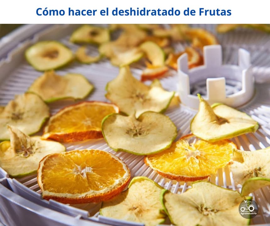 Cómo deshidratar frutas en casa: horno y luz solar El deshidratado de frutas es una técnica ancestral para conservar alimentos, intensificar su sabor y disfrutar de snacks saludables sin químicos. Método 1: En horno Lava y corta las frutas en rodajas finas. Colócalas en una bandeja con papel encerado. Ajusta el horno a 50-70 C baja temperatura. Deja la puerta ligeramente abierta para que circule el aire. Hornea de 2 a 6 horas, revisando hasta que estén secas pero flexibles. Método 2: Con luz solar Coloca las frutas cortadas en rodajas finas sobre una rejilla. Tápalas con una tela delgada para protegerlas de insectos. Déjalas al sol directo durante el día, retirándolas por la noche. El proceso puede tardar de 2 a 4 días, dependiendo del clima. Consejo: Puedes deshidratar manzana, plátano, mango, piña, fresa, kiwi y muchas más. El resultado: frutas deliciosas, nutritivas, fáciles de almacenar y perfectas para snack, repostería o infusiones. #Deshidratado #ConservaciónNatural #VidaSaludable #HuertoEnCasa