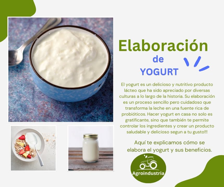 拏 Cómo hacer yogurt casero paso a paso en casa 拏 El yogurt casero es saludable, económico y sin conservadores. Prepararlo en casa es más fácil de lo que imaginas. Ingredientes: 1 litro de leche entera o semidescremada. 2 cucharadas de yogurt natural con probióticos, sin azúcar. Preparación paso a paso: 1 Calienta la leche Lleva la leche a 85 C sin que hierva del todo. Esto ayuda a eliminar bacterias indeseadas. 2 Deja enfriar Espera a que la leche baje a unos 45 C tibia al tacto. 3 Añade el yogurt 籠 Agrega 2 cucharadas de yogurt natural y mezcla bien. 4 Fermentación Coloca la mezcla en un frasco de vidrio tapado. Déjalo en un lugar cálido horno apagado o envuelto en una manta por 6 a 8 horas. 5 Refrigera Una vez cuajado, mete el yogurt al refrigerador al menos 2 horas antes de consumir. Opcional: Endulza con miel, frutas, granola o semillas. Separa un poco de tu yogurt casero para usarlo como fermento en la siguiente preparación. Listo! Tendrás un yogurt casero, natural y lleno de probióticos para cuidar tu salud. #YogurtCasero #VidaSaludable #CocinaNatural