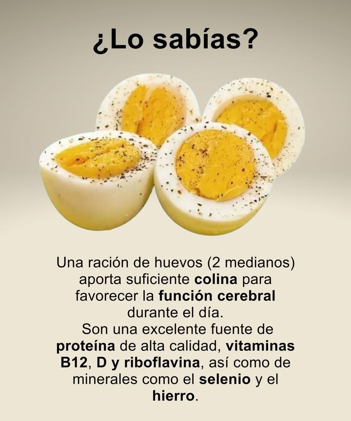 Beneficios del huevo

Una ración de 2 huevos medianos aporta suficiente colina para mejorar la función cerebral durante el día.

 Fuente de proteína de alta calidad
 Ricos en vitaminas B12, D y riboflavina
 Aportan selenio y hierro, esenciales para la energía y el sistema inmunitario.

讀 Un alimento completo para cuerpo y mente.