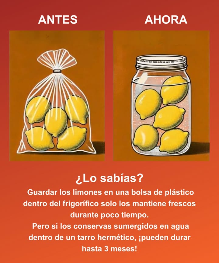 Conserva tus limones por más tiempo

En bolsa de plástico, se mantienen frescos solo unos días.

En tarro hermético con agua, duran hasta 3 meses dentro del frigorífico.
 Mantienen su sabor, aroma y jugosidad por mucho más tiempo.