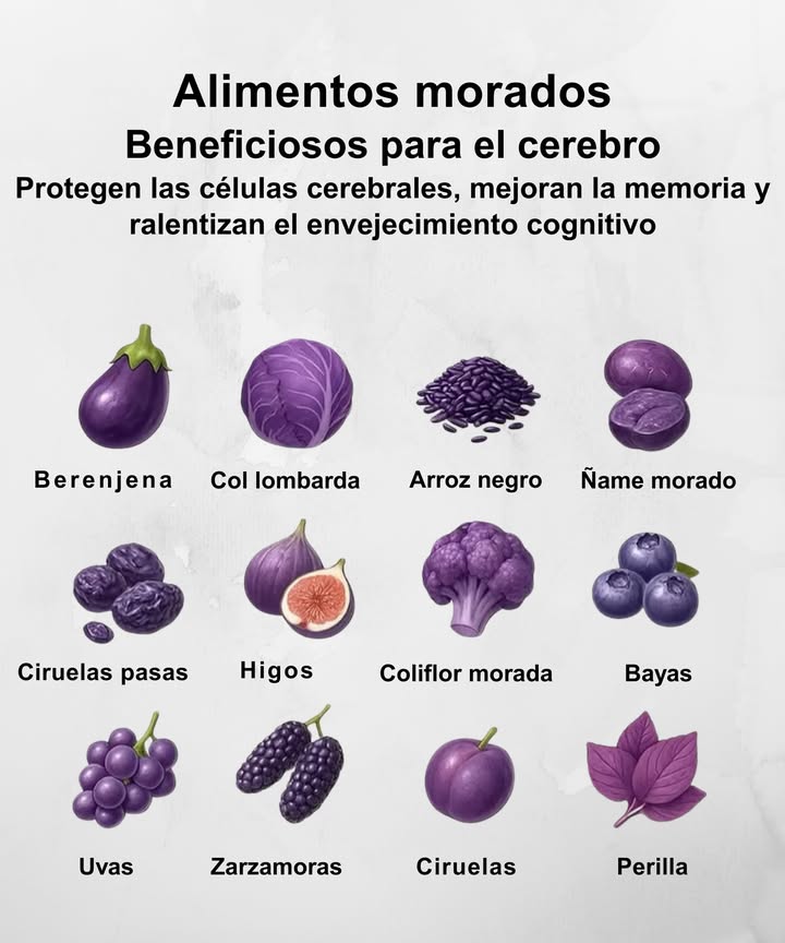 Alimentos morados: aliados del cerebro 易
Ricos en antioxidantes como las antocianinas, estos alimentos ayudan a proteger las neuronas, mejorar la memoria y ralentizar el envejecimiento cognitivo. Incorporarlos a tu dieta es una forma natural de cuidar tu salud mental y vitalidad.

 Berenjena  Neuroprotectora y antiinflamatoria
塞 Col lombarda  Rica en vitamina K y ácido fólico
 Arroz negro  Fuente de antioxidantes únicos
 Ñame morado  Energía duradera y salud cerebral
 Ciruelas pasas  Regulan el sistema nervioso
 Higos  Mejoran la circulación y memoria
復 Coliflor morada  Apoya la función cerebral
𢡄 Bayas  Potencian la concentración
 Uvas  Combaten el deterioro cognitivo
𢡄 Zarzamoras  Antioxidantes potentes
 Ciruelas  Ayudan a la comunicación neuronal
 Perilla  Protege las células cerebrales

 Llena tu plato de color morado y fortalece tu mente con cada bocado.