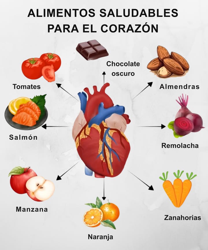 Alimentos Saludables para el Corazón Tomates Ricos en licopeno que protege el corazón Salmón Fuente de omega-3 para reducir inflamación Manzana Fibra que regula el colesterol Naranja Vitamina C que fortalece vasos sanguíneos 凌 Zanahorias Antioxidantes que cuidan la presión Chocolate oscuro Flavonoides que mejoran la circulación Almendras Grasas saludables que protegen arterias 塞 Remolacha Nitratos naturales que mejoran el flujo sanguíneo Pequeños cambios en tu dieta = gran cuidado para tu corazón