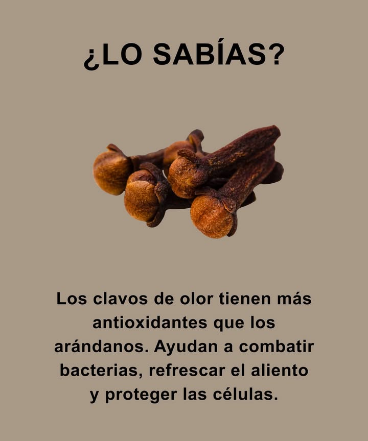 Los clavos pueden ser pequeños, pero son gigantes antioxidantes. Tienen más antioxidantes que los arándanos, lo que ayuda a combatir las bacterias, proteger las células e incluso refrescar el aliento de forma natural. Agregue uno o dos dientes a su té, o mastíquelos suavemente después de las comidas para una mejor digestión y salud bucal. Especia antigua, superpotencia moderna.