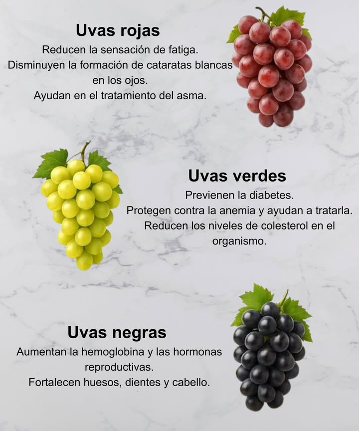 Beneficios de las Uvas Uvas rojas Reducen la fatiga Disminuyen las cataratas en los ojos Ayudan en el tratamiento del asma Uvas verdes Previenen la diabetes Protegen contra la anemia Reducen el colesterol en el organismo Uvas negras Aumentan la hemoglobina y las hormonas reproductivas Fortalecen huesos, dientes y cabello