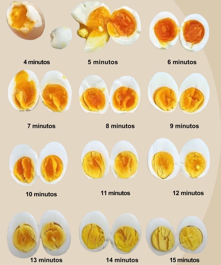 讀 Tiempos de cocción del huevo perfectos 4 min Clara apenas cuajada, yema líquida y brillante. 5 min Clara firme, yema muy cremosa. 6 min Yema espesa pero aún jugosa. 7 min Textura cremosa intermedia. 8 min Yema suave con centro cremoso. 9 min Yema firme con ligera cremosidad. 10 min Totalmente cuajada pero tierna. 11 min Firme, sin restos líquidos. 12 min Yema firme y algo seca. 13 min Compacta, textura más seca. 14 min Yema muy seca y desmenuzable. 15 min Totalmente dura, textura granulosa. Ajusta el tiempo según tu gusto para lograr la consistencia ideal.