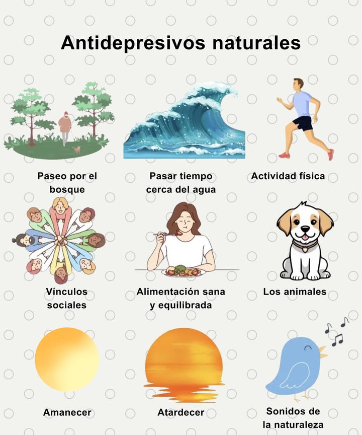 Antidepresivos naturales
Pequeños hábitos que elevan el ánimo, calman la mente y devuelven equilibrio al día.

 Paseo por el bosque
Conecta con la naturaleza y reduce el estrés.

 Pasar tiempo cerca del agua
Aporta tranquilidad y claridad mental.

 Actividad física
Libera endorfinas y mejora la energía.

欄 Vínculos sociales
Acompañamiento que nutre el bienestar emocional.

綾 Alimentación sana y equilibrada
Sostén natural para cuerpo y mente.

 Los animales
Energía positiva y compañía reconfortante.

 Amanecer
Inspiración y renovación.

 Atardecer
Pausa cálida que relaja el corazón.

 Sonidos de la naturaleza
Bálsamo para la mente y respiro profundo para el alma.

 Pequeñas dosis de naturaleza, luz y compañía que transforman el estado emocional día a día.