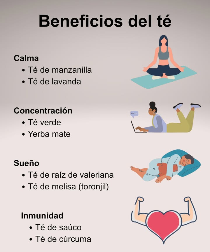 Beneficios del té Calma Té de manzanilla Té de lavanda Concentración Té verde Yerba mate Sueño Té de raíz de valeriana Té de melisa toronjil Inmunidad Té de saúco Té de cúrcuma