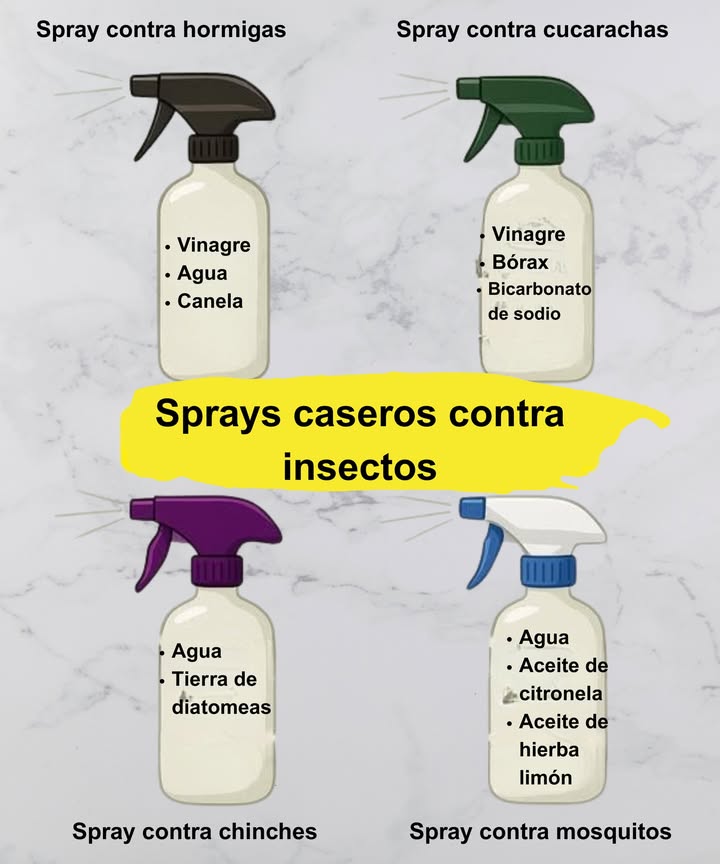 Sprays Caseros contra Insectos 

 Hormigas  Vinagre  Agua  Canela
荒 Cucarachas  Vinagre  Bórax  Bicarbonato de sodio
 Chinches  Agua  Tierra de diatomeas
烈 Mosquitos  Agua  Aceite de citronela  Aceite de hierba limón

 Soluciones naturales, fáciles y efectivas.
