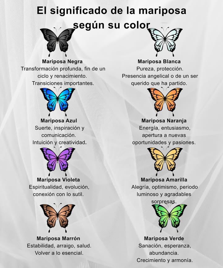 El significado de las mariposas según su color 曆 Mariposa negra: símbolo de transformación profunda, cierre de ciclos y renacimiento. Mariposa blanca: pureza, protección y energía angelical; vínculo con seres queridos que ya no están. Mariposa azul: inspiración, creatividad, intuición y buena fortuna. Mariposa naranja: entusiasmo, energía y apertura a nuevas oportunidades. Mariposa amarilla: alegría, optimismo y momentos luminosos. Mariposa violeta: espiritualidad, evolución y conexión con lo sutil. Mariposa marrón: estabilidad, raíces fuertes, salud y retorno a lo esencial. Mariposa verde: sanación, esperanza, abundancia y crecimiento armonioso. Colores que transmiten mensajes llenos de simbolismo y belleza.