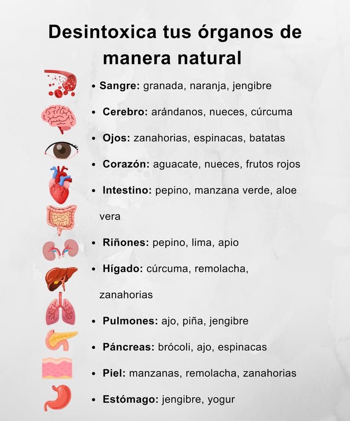 Desintoxica tus órganos de manera natural