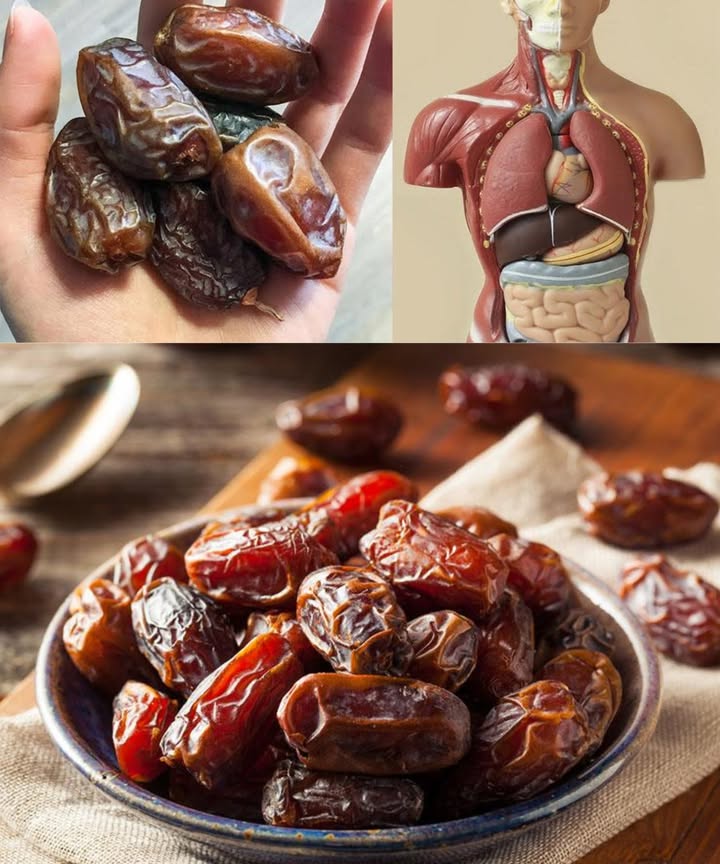 Los increíbles beneficios de los dátiles: el dulce natural lleno de vida Los dátiles, el caramelo de la naturaleza, son una joya ancestral del desierto. Su dulzor natural, textura suave y riqueza en nutrientes los convierten en un superalimento esencial para energía, salud y bienestar diario. Riqueza nutricional 李 Magnesio, potasio, calcio, hierro y fósforo. Vitaminas A y B. 溺 Antioxidantes poderosos: flavonoides, carotenoides y ácido fenólico. Alta fibra natural que favorece la digestión. Beneficios principales Energía duradera: ideales antes o después del ejercicio. 易 Salud cerebral: mejoran la memoria y la concentración. Digestión activa: alivian el estreñimiento y equilibran el intestino. 領 Huesos fuertes: ricos en calcio y hierro, previenen la anemia. Corazón sano: reducen el colesterol malo y regulan la presión arterial. Control del peso: sacian, reducen antojos y aportan energía sin exceso. Cómo disfrutarlos 籠 Solos como snack natural. 北 En batidos, avena o yogur. En postres, panes o barritas energéticas. 綾 Ensaladas con frutos secos y queso fresco. Un fruto pequeño con grandes beneficios: energía, equilibrio y dulzura natural en cada bocado.