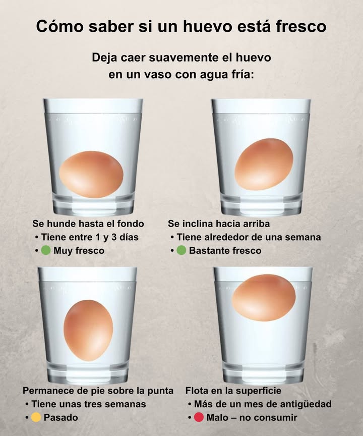 讀 Cómo saber si un huevo está fresco Llena un vaso con agua fría y deja caer el huevo suavemente: Se hunde hasta el fondo Tiene entre 1 y 3 días Muy fresco Se inclina hacia arriba Tiene alrededor de una semana Bastante fresco Permanece de pie sobre la punta Tiene unas tres semanas Pasado, mejor usar cocido Flota en la superficie Más de un mes de antigüedad Malo, no consumir Un truco sencillo para comprobar la frescura antes de cocinar.