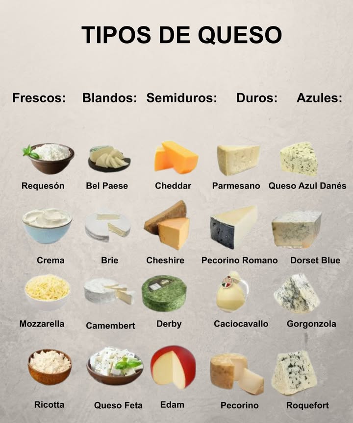 Tipos de Queso para Cada Gusto 

拏 Frescos  ligeros y suaves: Requesón, Crema, Mozzarella, Ricotta, Queso Feta
燎 Blandos  cremosos e intensos: Bel Paese, Brie, Camembert
壟 Semiduros  equilibrados y versátiles: Cheddar, Cheshire, Derby, Edam
 Duros  intensos y madurados: Parmesano, Pecorino Romano, Caciocavallo, Pecorino
 Azules  con carácter y aroma único: Queso Azul Danés, Dorset Blue, Gorgonzola, Roquefort

 Una guía práctica para descubrir el queso perfecto en cada ocasión.