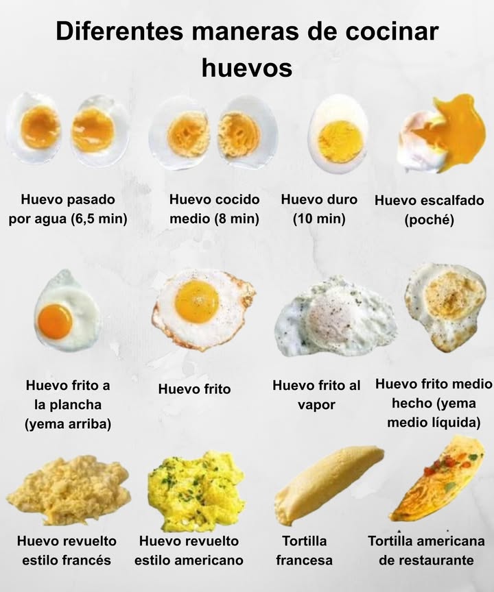 Diferentes maneras de cocinar huevos 讀 Huevo pasado por agua 6,5 min 讀 Huevo cocido medio 8 min 讀 Huevo duro 10 min 讀 Huevo escalfado poché Huevo frito a la plancha yema arriba Huevo frito Huevo frito al vapor Huevo frito medio hecho yema medio líquida Huevo revuelto estilo francés Huevo revuelto estilo americano 稜 Tortilla francesa 綾 Tortilla americana de restaurante