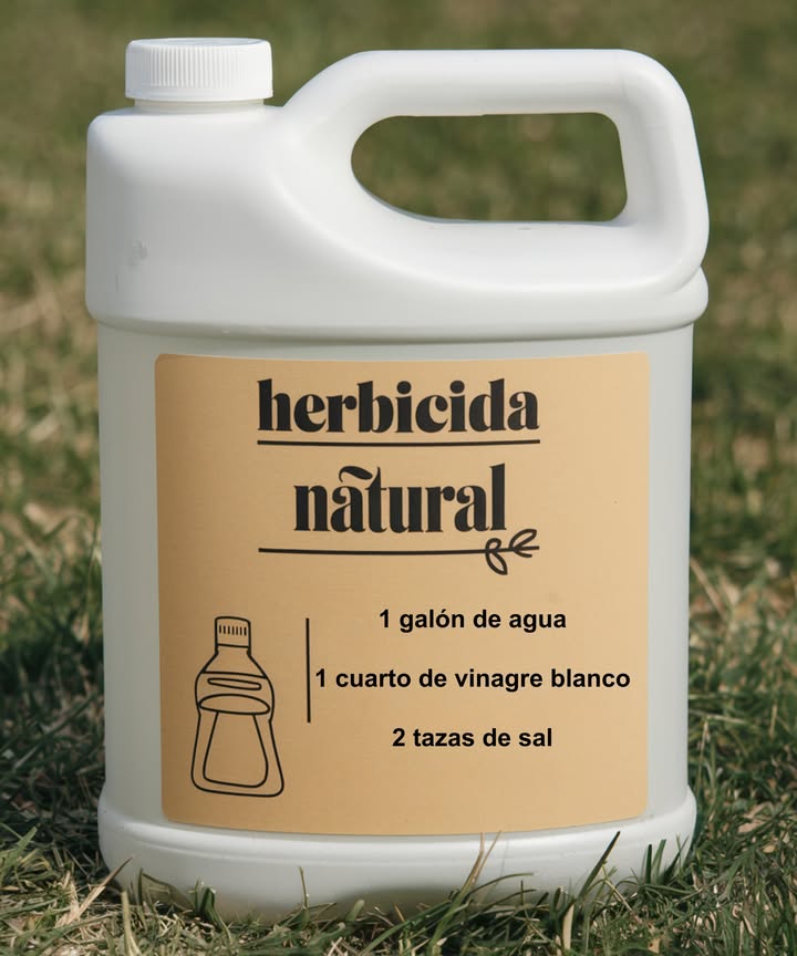 Mezcla todos los ingredientes y rocíalos directamente sobre las malas hierbas Usa un pulverizador o rociador de jardín para una aplicación uniforme Evita aplicar cerca de las plantas que quieras conservar