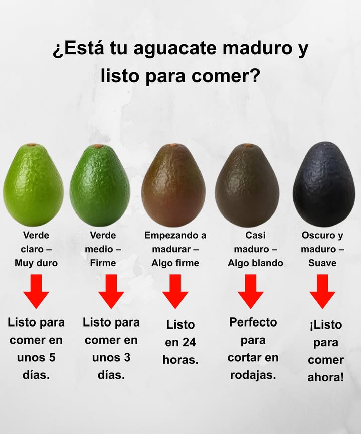 Guía rápida del aguacate maduro

Verde claro  Muy duro  Listo para comer en 5 días.

Verde medio  Firme  Listo en 3 días.

Empezando a madurar  Algo firme  Listo en 24 h.

Casi maduro  Algo blando  Perfecto para cortar en rodajas.

Oscuro y maduro  Suave  Listo para comer ahora! 陋