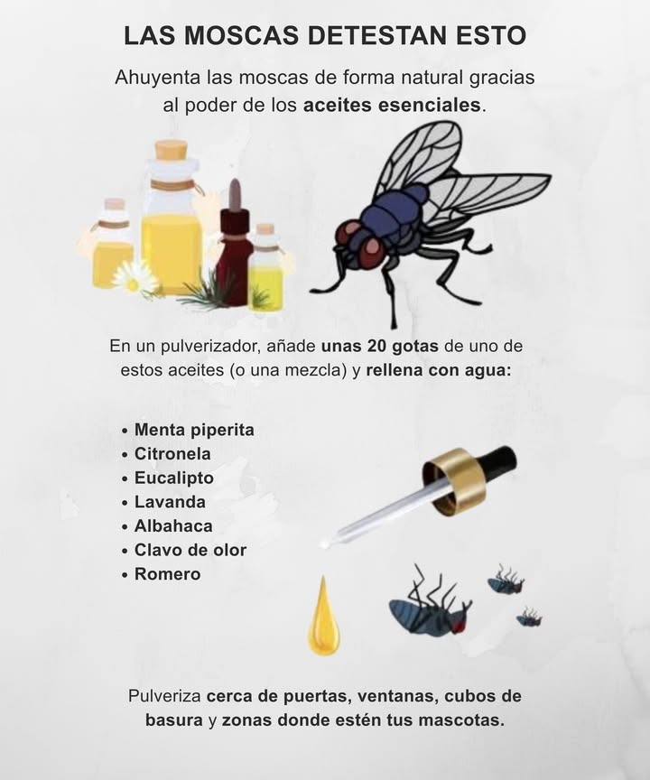 Las moscas detestan esto

 Ahuyenta las moscas de forma natural con el poder de los aceites esenciales.
 En un pulverizador, añade 20 gotas de uno o varios aceites y rellena con agua.
 Aceites eficaces:

Menta piperita
Citronela
Eucalipto
Lavanda
Albahaca
Clavo de olor
Romero

 Pulveriza cerca de puertas, ventanas, cubos de basura y zonas donde estén tus mascotas.
 Aroma agradable, efecto duradero y 100 % natural.