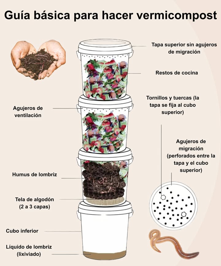 Guía para principiantes en compostaje con lombrices 
 Transforma los restos de comida en tierra rica en nutrientes, de forma natural!

 Empieza con un sistema de cubetas con orificios de aireación y migración.
 Añade restos de cocina para alimentar a las lombrices.
 Las lombrices convierten los desechos en humus oro negro para las plantas .
 Usa capas de tela de algodón para separar el humus del líquido.
 Recoge el jugo de lombriz té de compost como fertilizante líquido.
 Sencillo, sin olores y perfecto para espacios pequeños.