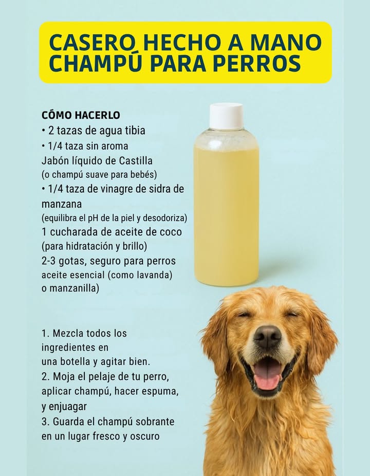 Champú casero para perros 
Una opción natural, económica y segura para cuidar el pelaje de tu mejor amigo.
Hecho con agua tibia, jabón de Castilla, vinagre de manzana y aceite de coco, este champú limpia suavemente, hidrata y equilibra el pH de la piel.
Puedes añadir unas gotas de aceite esencial de lavanda o manzanilla para un aroma relajante y beneficioso.
Ideal para mantener el pelo brillante, suave y libre de malos olores sin productos químicos agresivos.
 La naturaleza también cuida a quienes más queremos.