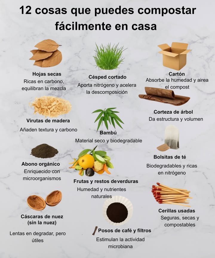 12 cosas que puedes compostar fácilmente en casa Hojas secas Ricas en carbono, equilibran la mezcla Césped cortado Aporta nitrógeno y acelera la descomposición Cartón troceado Absorbe la humedad y airea el compost 蝹 Virutas de madera Añaden textura y carbono Bambú Material seco y biodegradable Corteza de árbol Da estructura y volumen Abono orgánico Enriquecido con microorganismos 復 Restos de frutas y verduras Humedad y nutrientes naturales Bolsitas de té Biodegradables y ricas en nitrógeno 樂 Cáscaras de nuez Lentas en degradar, pero útiles Posos de café y filtros Estimulan la actividad microbiana Cerillas usadas Seguras, secas y compostables