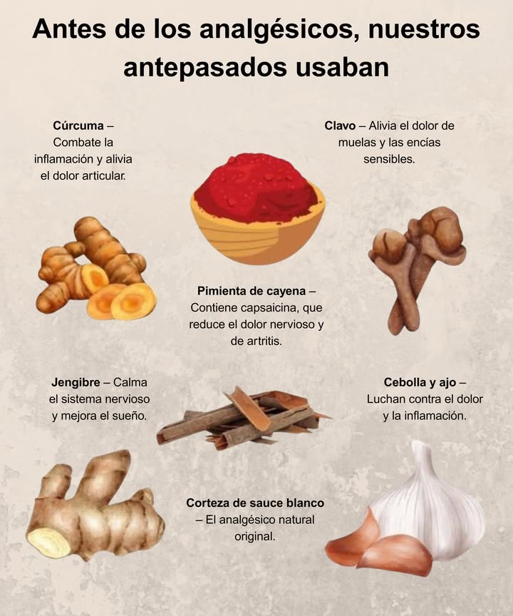 Antes de los analgésicos, nuestros antepasados confiaban en la naturaleza: Cúrcuma Combate la inflamación y alivia el dolor articular. Pimienta de cayena Su capsaicina reduce el dolor nervioso y de artritis. 龍 Cebolla y ajo Poderosos aliados contra el dolor y la inflamación. Clavo Calma el dolor de muelas y las encías sensibles. Jengibre Relaja el sistema nervioso y mejora el sueño. Corteza de sauce blanco El analgésico natural original.