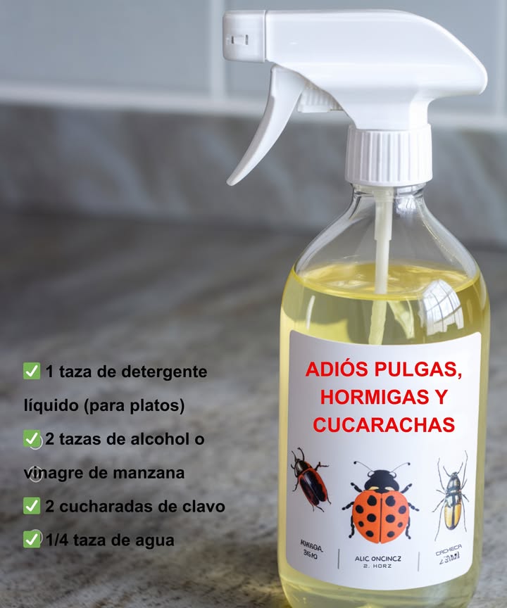 Guía rápida: Eliminación natural de pulgas, hormigas y cucarachas Ingredientes 1 taza de detergente líquido para platos 2 tazas de alcohol o vinagre de manzana 2 cucharadas de clavo 1/4 taza de agua Preparación 1 Hervir el agua y añadir los clavos. Reposar 10 minutos. 2 Mezclar detergente con alcohol o vinagre en otro recipiente. 3 Incorporar el agua con clavos ya fría a la mezcla. 4 Verter en un atomizador y agitar suavemente. Modo de uso Pulverizar en esquinas, puertas, ventanas y zonas con insectos. Reaplicar de forma regular para mantenerlas alejadas. Mantener la limpieza del hogar para evitar atraer plagas. Resultado: Un hogar libre de pulgas, hormigas y cucarachas con una solución natural, económica y eficaz. #GuíaRápida #EliminaciónNatural #SoluciónEficaz